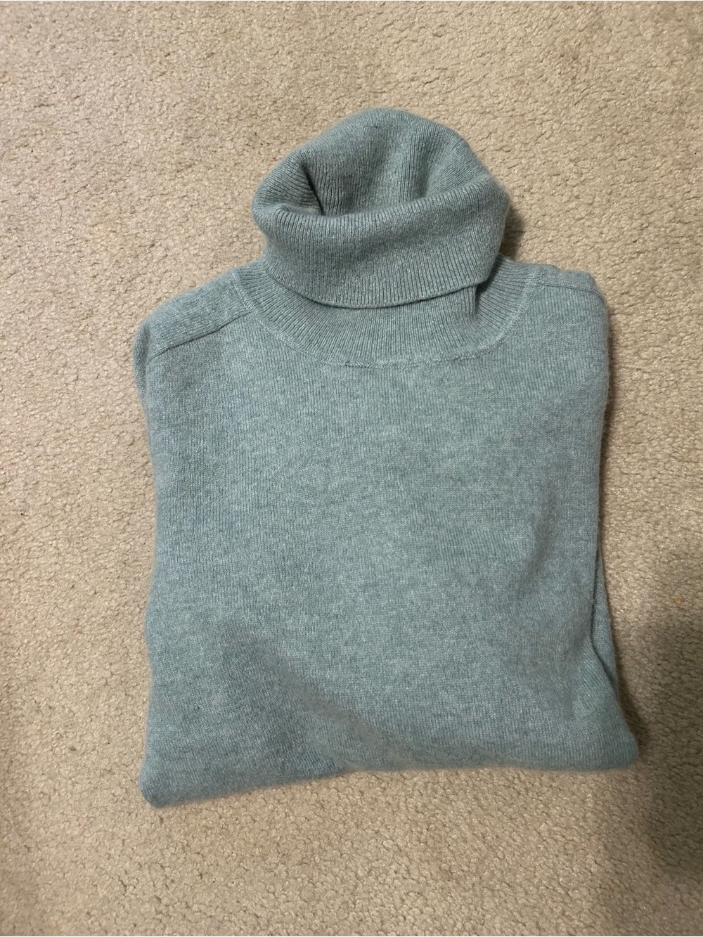 Quince ultra soft cashmere turtleneck sweater M